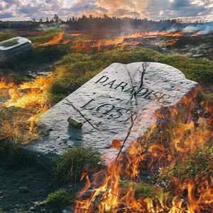 1000部多毛熟女毛茸茸
